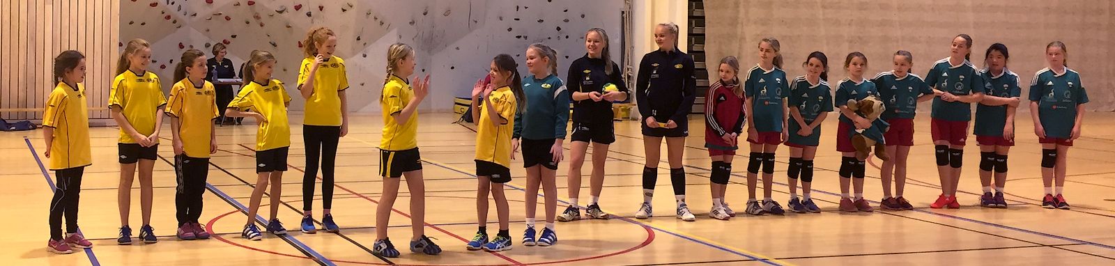 21051206 Handball i Saften