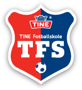 tfs logo