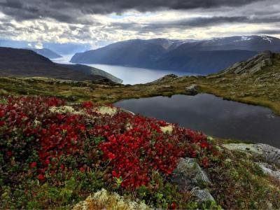 2016-haust-hnn-vassvarden