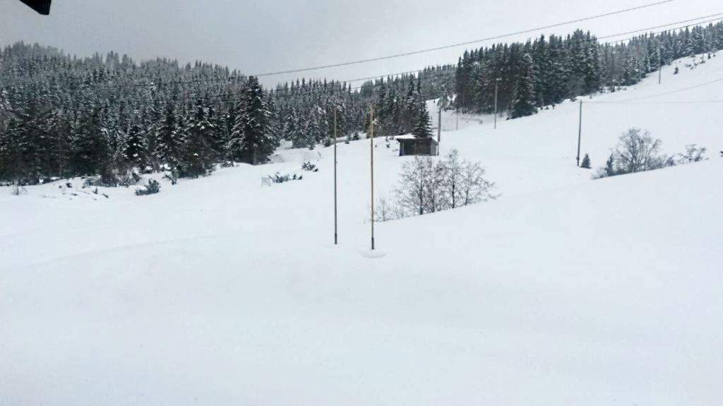 17357571_10155152793669809_1052930725_o