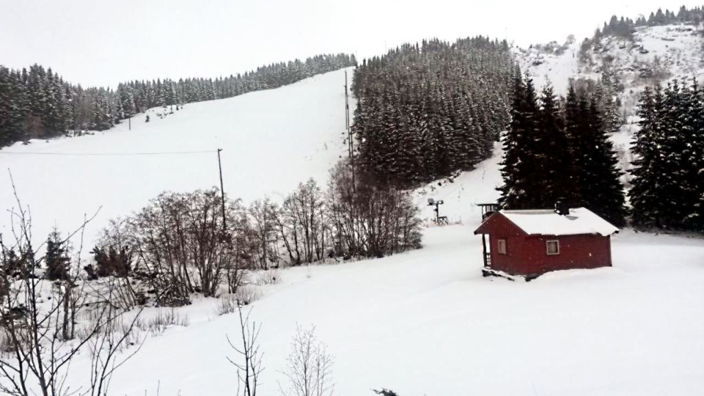 17379914_10155152793879809_2111573457_o